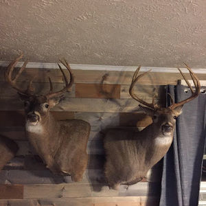 Meet your Posher, Jaden